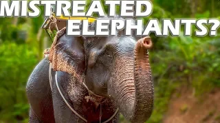 Mistreated Elephants?  S3:E07 – Sailing Vlog