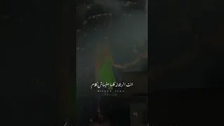 تامر حسني و هنا الزاهد حفلة الساحل انت اختيار تفاصيل حفله اختيار ظهور انت سعادتي هتجوزك 