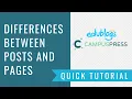 Differences between posts and pages