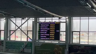 Омич Мартин Малютин стал первым на дистанции 100 метров вольным стилем на чемпионате СФО в Абакане