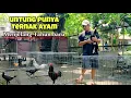 Untungnya beternak ayam menjelang natal dan Tahun baru harga sortiran bagus