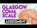 Glasgow Coma Scale GCS Assessment