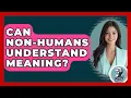 Download Lagu Can Non-humans Understand Meaning? - Philosophy Beyond