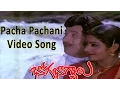 Download Lagu Pacha Pachani Video Song || Bhoga Bhagyalu Movie || Krishna, Sridevi