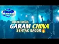 Download Lagu GARAM CINA X BUDAK CIAMIS-SENTAK GACOR🔥_YOMAR DJOKS!!
