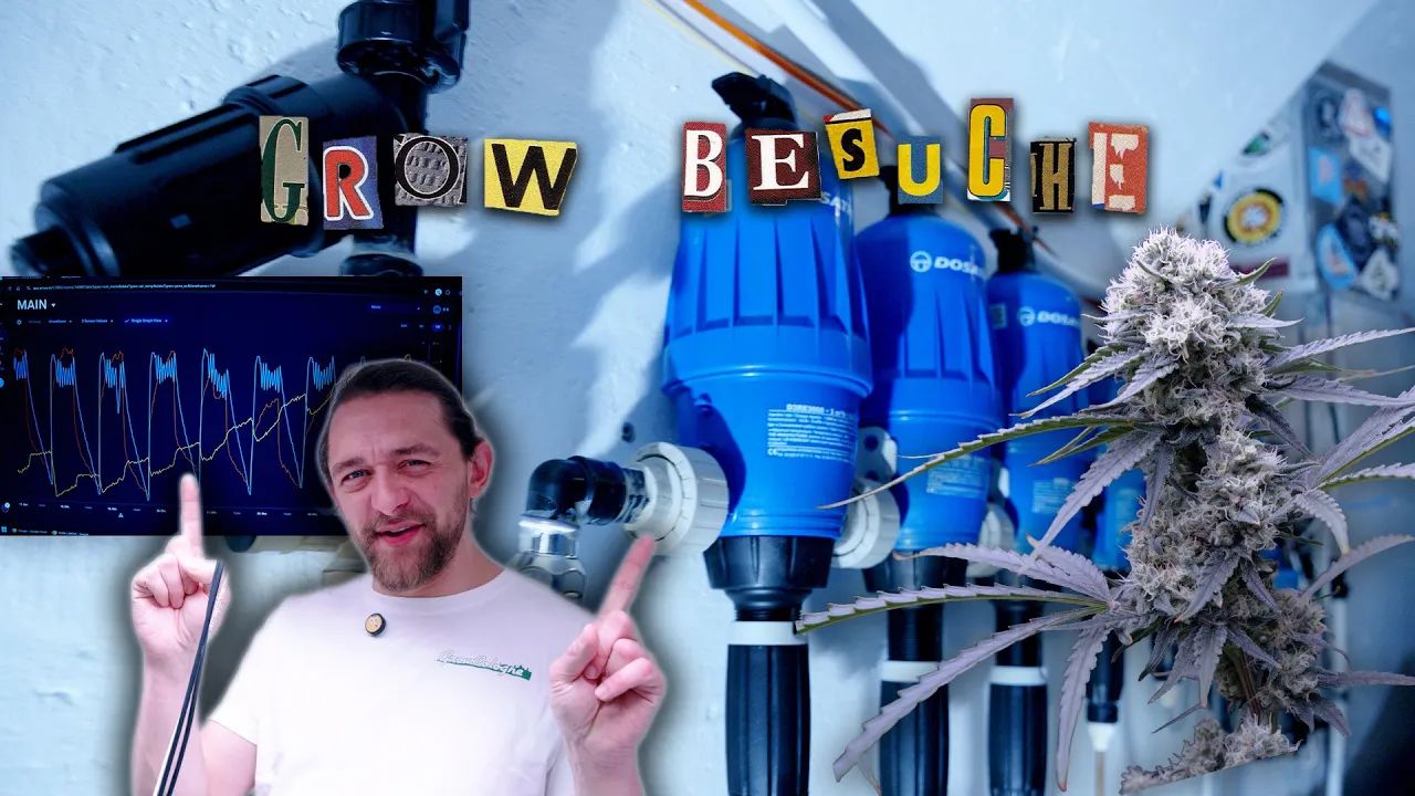 So krass automatisiert haben wir noch keinen Grow gesehen! 😳🌱 Martins Hausbesuche