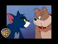 Download Lagu Tom \u0026 Jerry | Cats V.S. Dogs 🐱🐶 | Animal Takeover | @wbkids