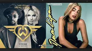 scream u0026 shout vs dont start now will i am britney spears vs dua lipa mashup 