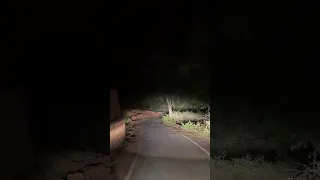 Midnight Drive Adventure 🚘✨