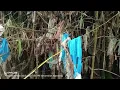 Download Lagu ##PENULUSURAN BAMBU UNIK NUSANTARA##(PART1) by suprapto