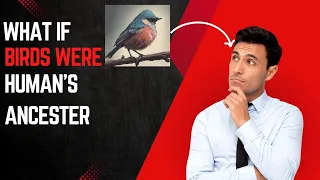 What if Humans Evolved from Birds