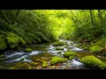 Download Lagu Mooie ontspannende muziek 🌿 Stop met overdenken, stressverlichtende muziek 🌿 Zachte muziek #48