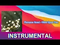 Florence Road - Wish Upon You (INSTRUMENTAL)