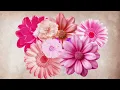 周華健 Wakin Chau【花心 The Flowery Heart】歌詞版 Lyrics MV