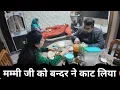 Lagu मम्मी जी को बन्दर ने काट लिया 😯@momsoncomedyandvlog 