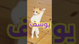 يوسف يوسف الاغنية كامله دوس هنا 