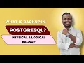 What is backup in PostgreSQL Physical File Backup Logical Backup Learnomate Technologies