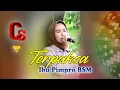 Lagu TERPAKSA - IBU PIM BSM - THE WEDDING PARTY SITI HOPIPAH \u0026 RAFLI