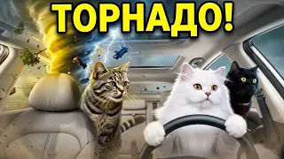 КАТАСТРОФА! Как спастись от ВЕРИТИ-ТОРНАДО в реальной жизни?!