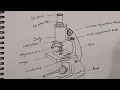 How to Draw Microscopic Compound Microscope Microscope Drawing