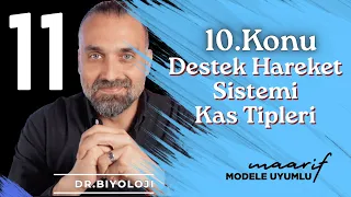 Destek Hareket Sistemi - Kas Tipleri | 11. Sınıf Biyoloji Maarif Model