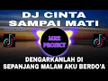 Download Lagu DJ CINTA SAMPAI MATI (raffa affar) REMIX VIRAL TIKTOK | TERBARU 2022DJ DENGARKANLAH DI SEPANJANG
