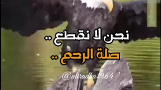 نحن لا نقطع صلة الرحم 