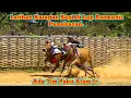 Download Lagu Latihan Karapan Sapi Di Lap Asemanis Pamekasan Ada Tim Paku Alam Jr. 