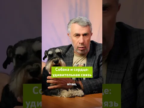 Собака и сердце: удивительная связь