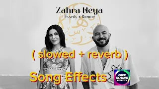 اعلان زهره هي رمضان        عسيلي و رزان                      دندنها