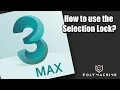 3ds max - How to use the Selection Lock