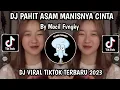 Lagu DJ KAU TAK PERNAH BERFIKIR BETAPA BESAR CINTA INI | DJ PAHIT ASAM MANISNYA CINTA BY MOCIL FVNGKY
