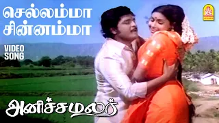 chellamma hd video song anicha malar rajabhagadur lakshmikala shankar ganesh