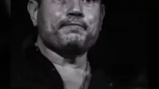 مهما اقولك عمرو دياب 