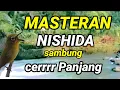 masteran pleci nishida sambung cerrr dan sambung tiiir prenjak betina | masteran pleci g12