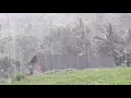 Download Lagu Relaksasi suara air hujan dipegunungan // sound for to sleep relaxing #youtubevideo