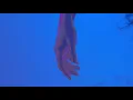Download Lagu Rozzen, Wolsh - Don't Let Me Go [Official Audio]