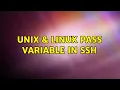 Unix Linux pass variable in ssh 3 Solutions