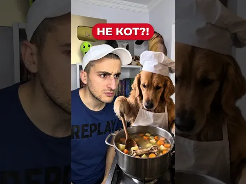 Кот готовит суп или это не кот? #рекомендации #прикол #юмор
