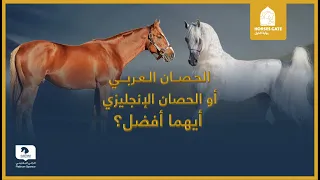 الحصان العربي أو الحصان الإنجليزي  أيهما أفضل   دندنها
