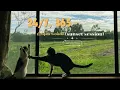[ 1 hour] elijah woods - 24/7, 365 (sunset session)