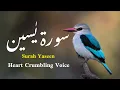 Download Lagu Surah Yaseen By Sheikh Abdul Rahman Al Sudais Heart Crumbling Voice
