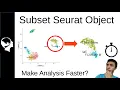 Subset Clusters in Seurat