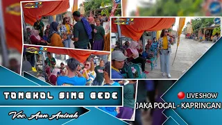 Download TONGKOL SING GEDE - AAN ANISAH | DUA PUTRA | SHOW UNJUNGAN BUYUT JAKA POGAL KAPRINGAN - KRANGKENG MP3