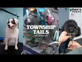Township Tails - Topher s Paw Co