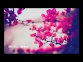 Download Lagu Trance Arts feat. Claire Willis - All I Need To Know (Rob Miller Remix)