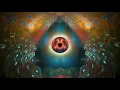 Download Lagu Cambatta - Lunar Solar Duality ~ LSD Trip Visualizer