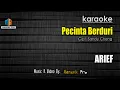 Download Lagu KARAOKE PECINTA BERDURI - ARIEF