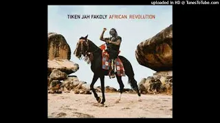 Tiken Jah Fakoly - 14 Laisse moi m'exprimer