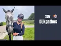 Download Lagu Door het water! 💦 SGW Dijkgatbos met Cerrito